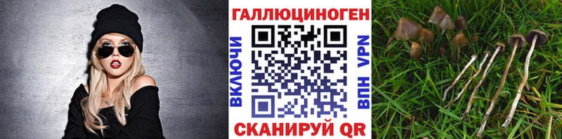 Галлюциногенные грибы ЛСД даркнет сайт Покров